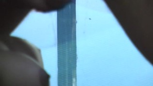 Cute Shemale cumpilation – Colossal Entertainment pumped